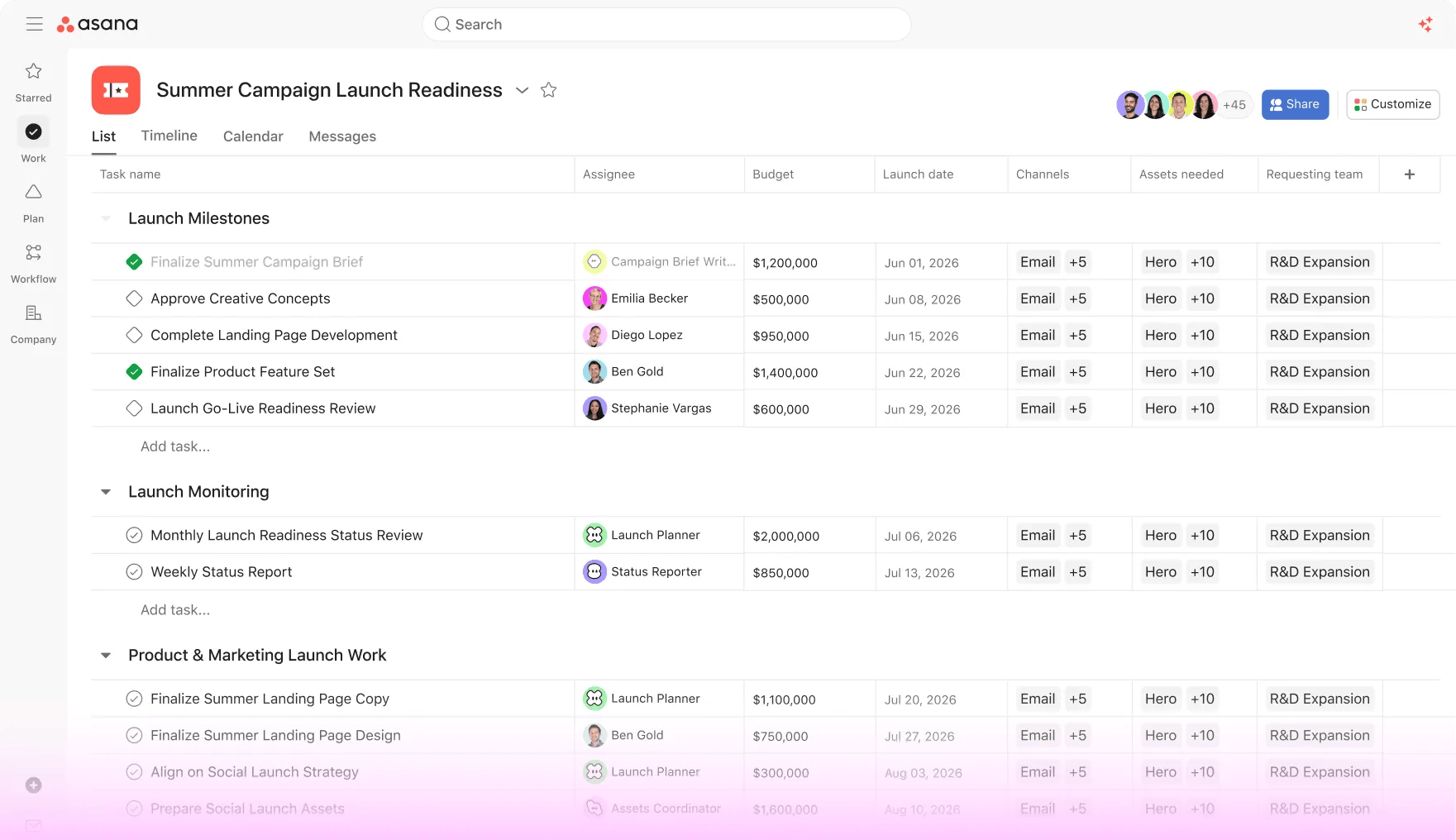Asana workspace
