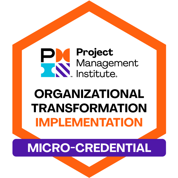 PMI Organizational Transformation Implementation