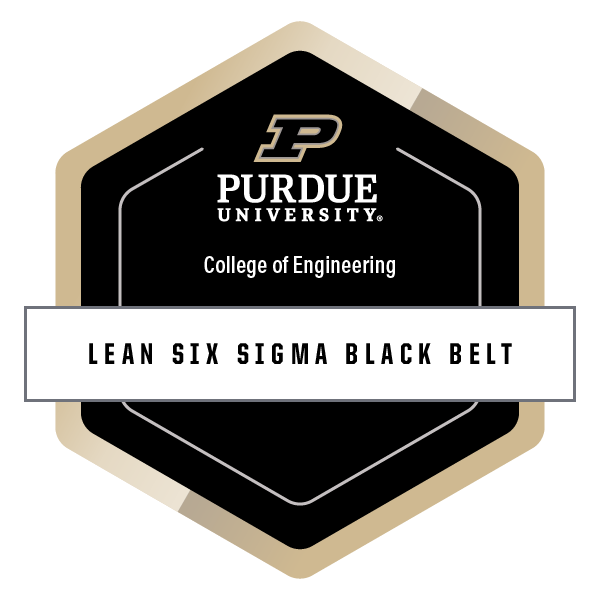Lean Six Sigma Black Belt